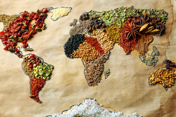 SuP article "Continent in Transition: African Opportunities" in The World of Food Ingredients magazine