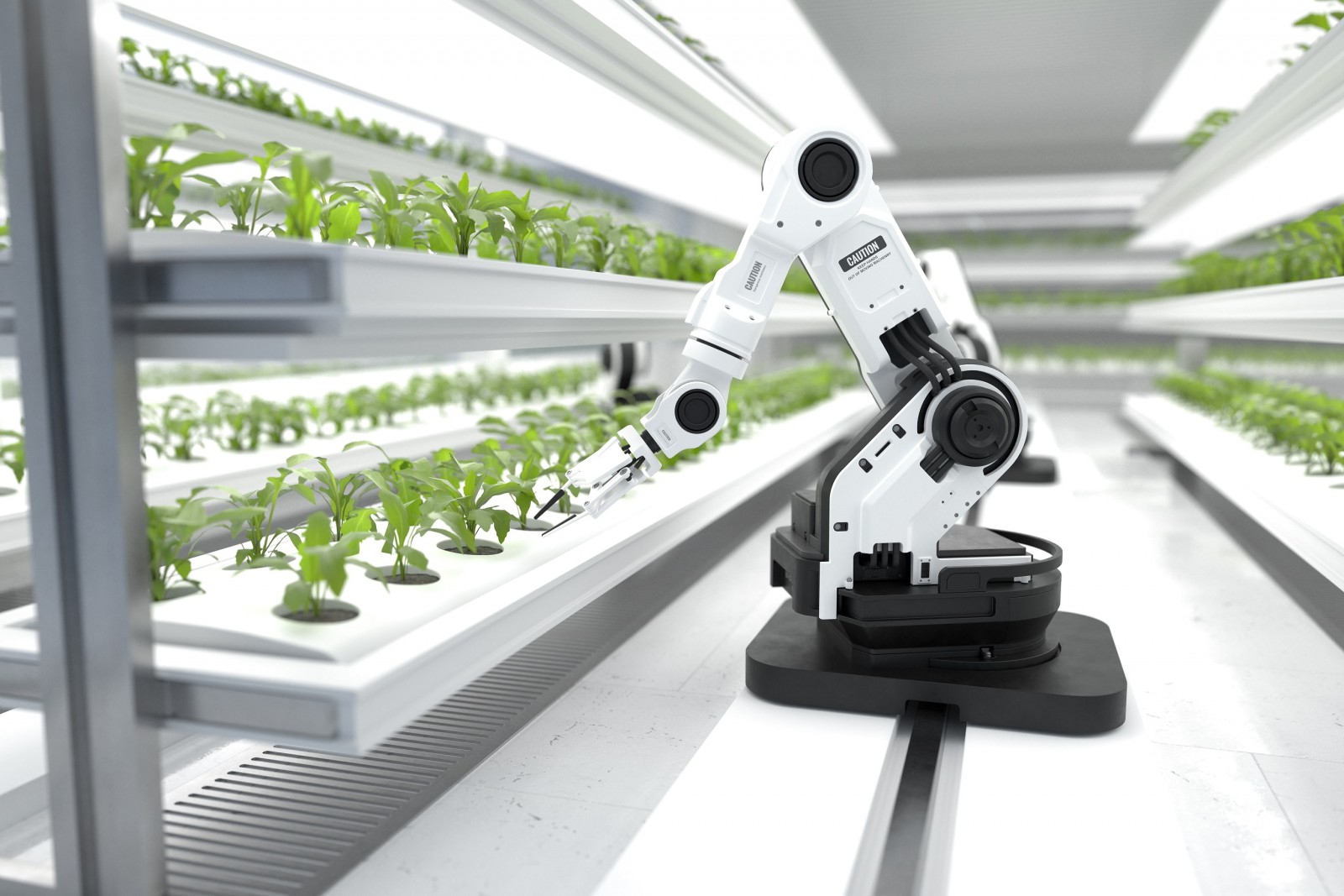Controlled environment agriculture – New markets for high-tech greenhouses