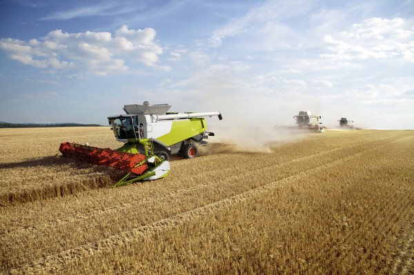 Der Crop-Faktor: Effizienz in der Landwirtschaft