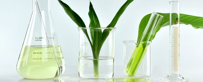 Sustainable Chemicals