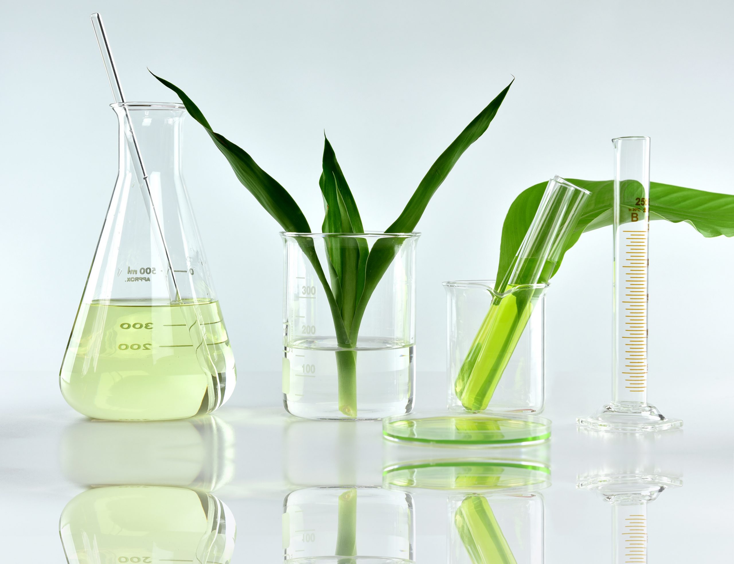 Sustainable Chemicals